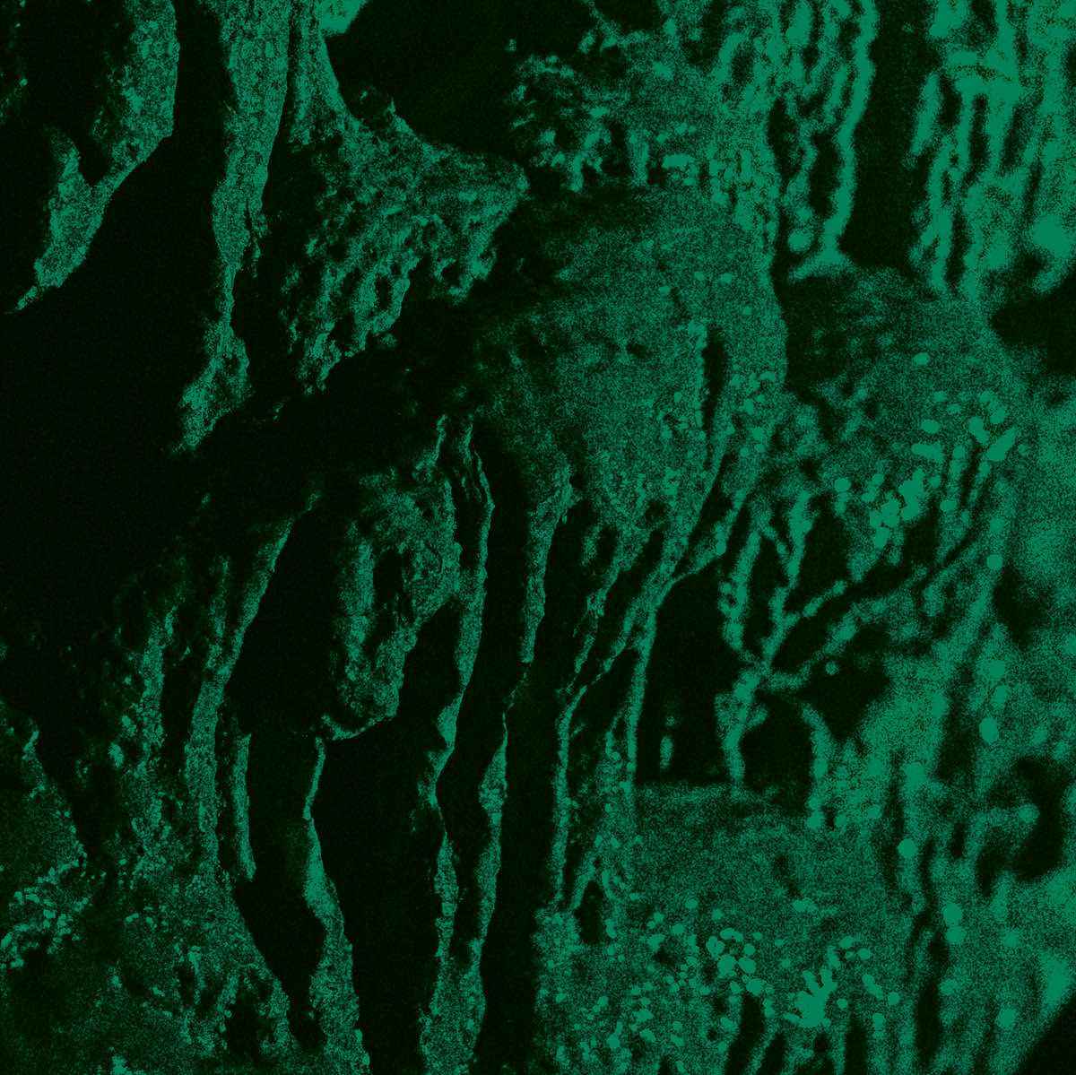 CH'AHOM - Excavation Re-Release DIGI